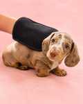 Guante Quitapelos para Perros y Gatos