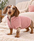 Sweater tejido para perro Mokinini – Colores Pastel
